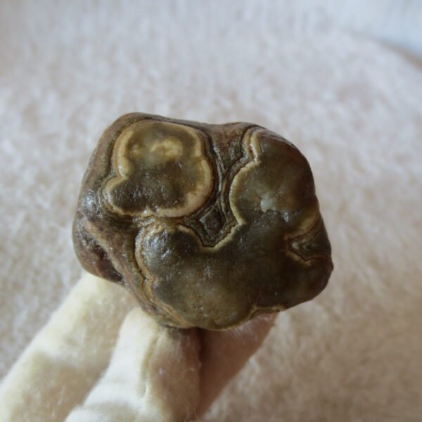 natural gobi eye stone，raw oracle eye agate，collectible crystal specimen (m112)