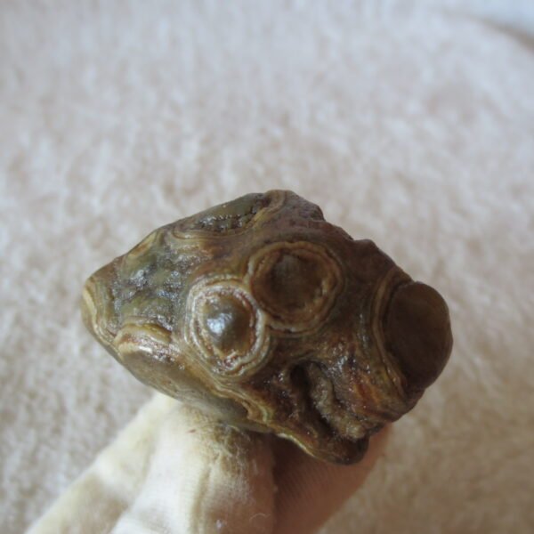 natural gobi eye stone，raw oracle eye agate，collectible crystal specimen (m112)