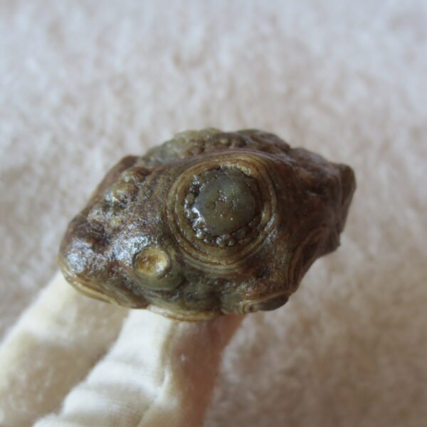 natural gobi eye stone，raw oracle eye agate，collectible crystal specimen (m112)