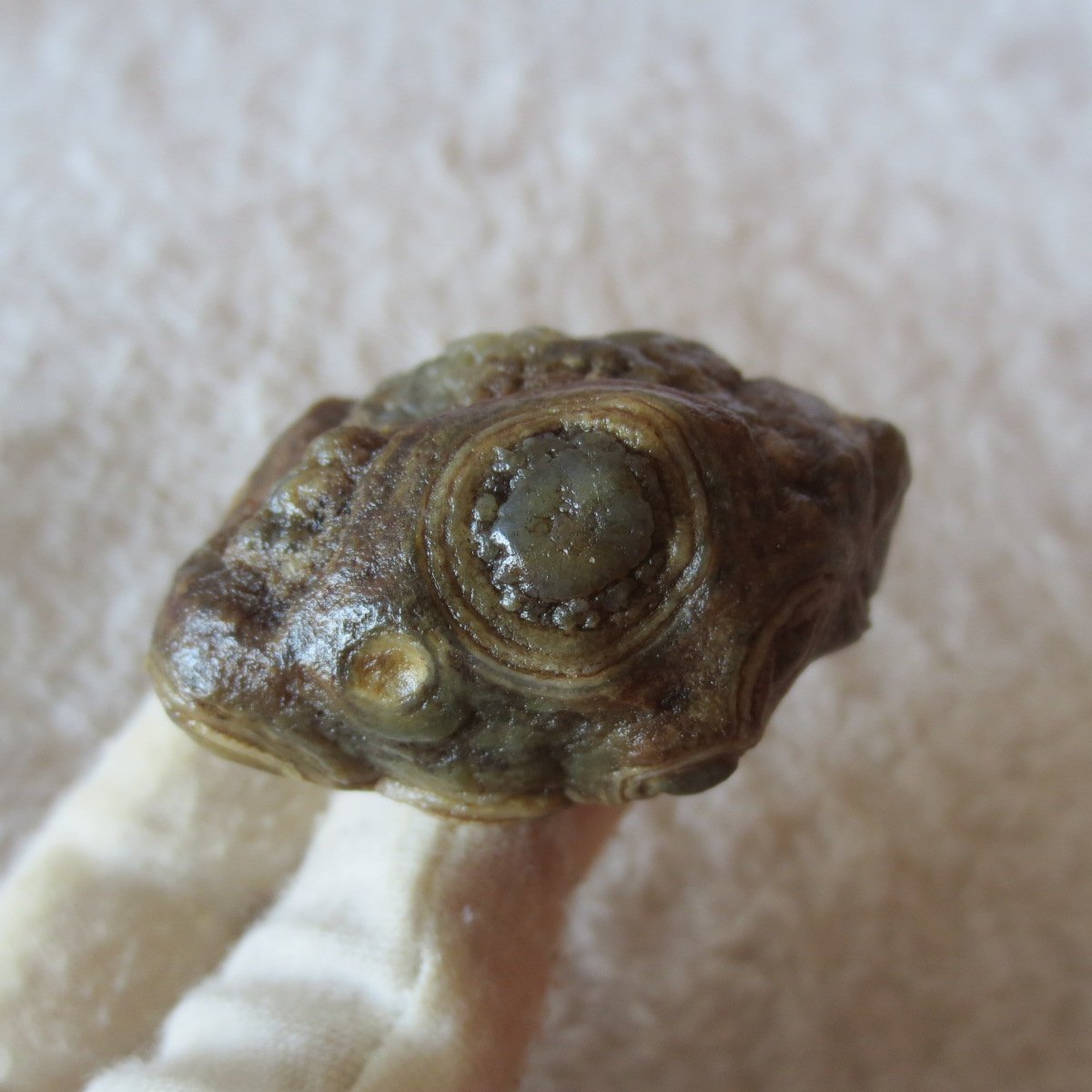 natural gobi eye stone，raw oracle eye agate，collectible crystal specimen (m112)