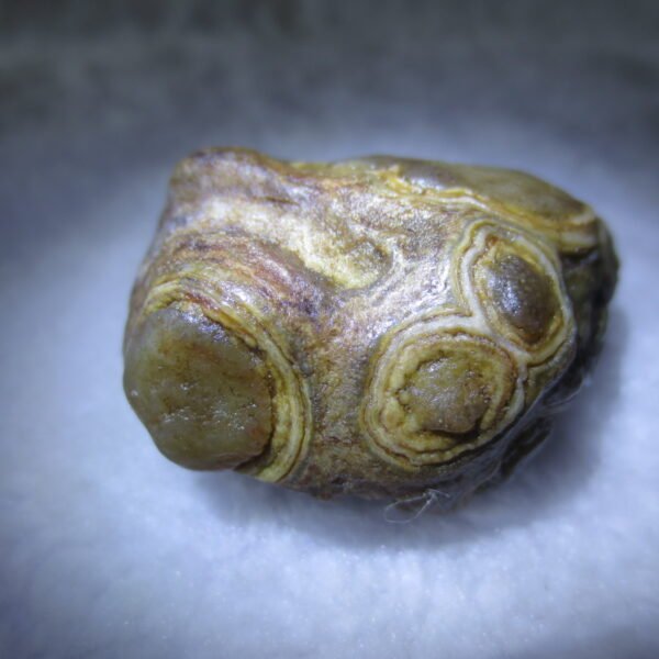 natural gobi eye stone，raw oracle eye agate，collectible crystal specimen (m112)