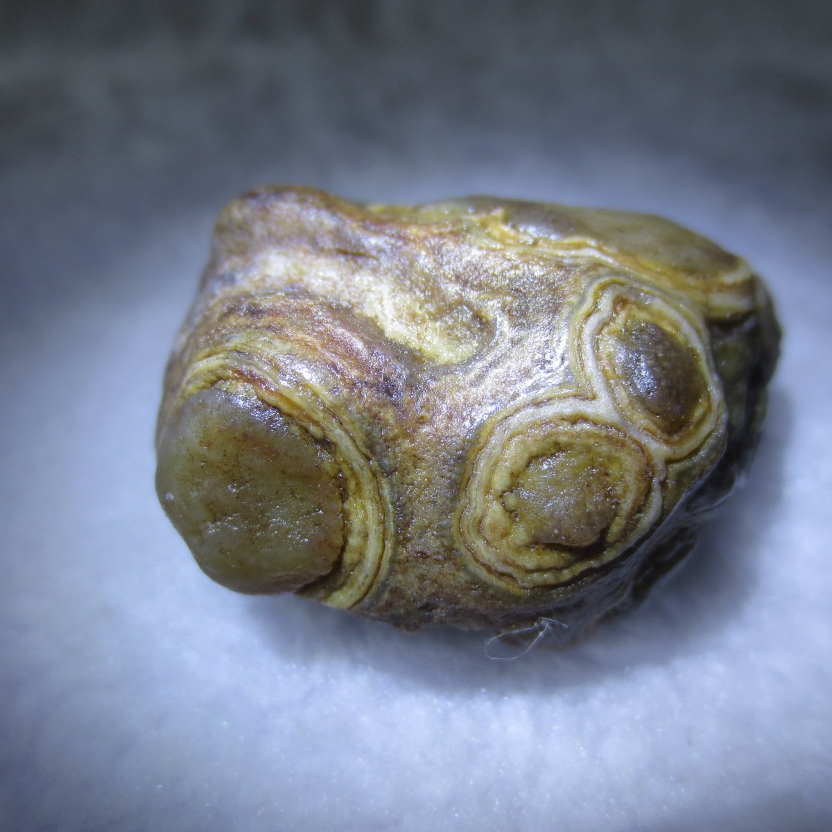 natural gobi eye stone，raw oracle eye agate，collectible crystal specimen (m112)