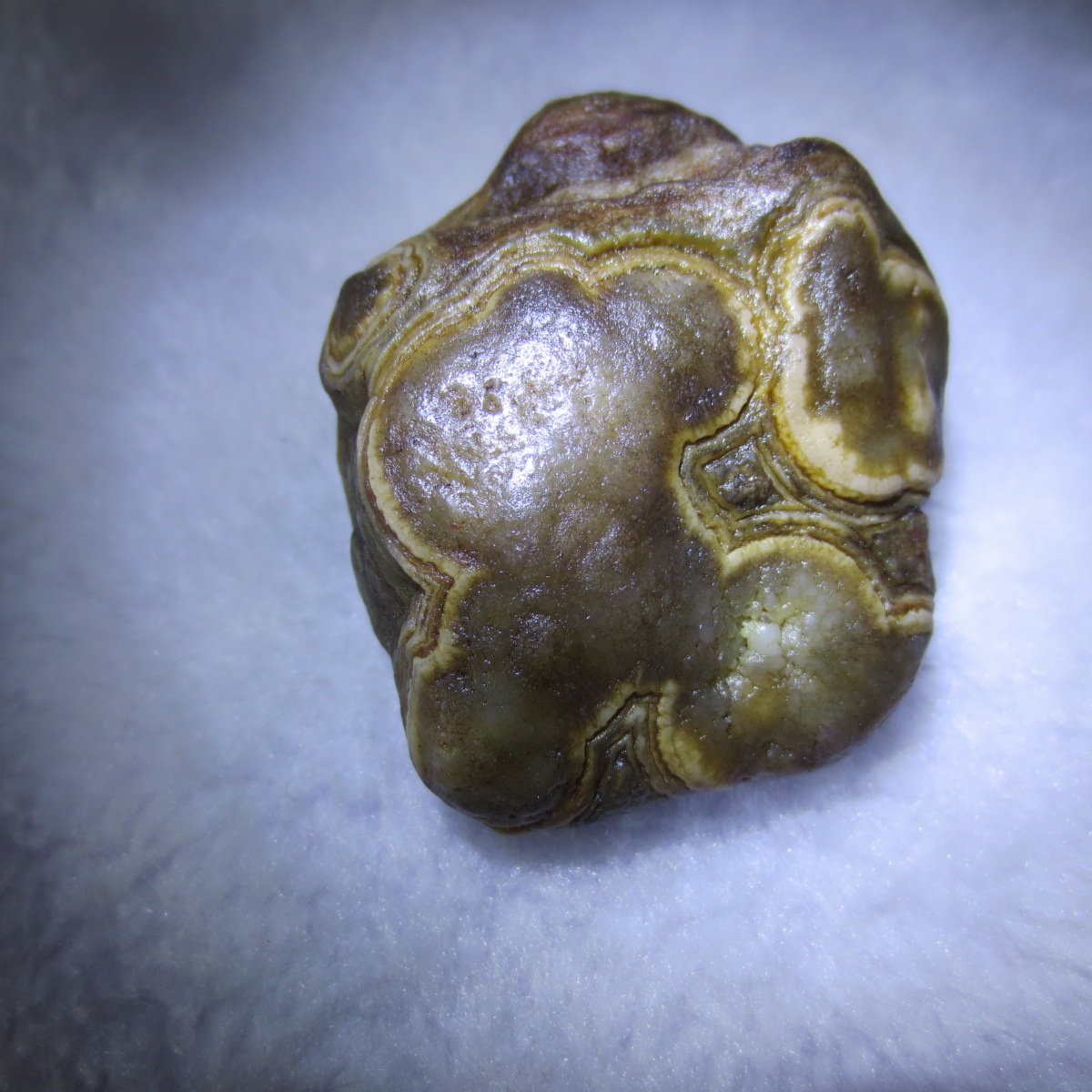natural gobi eye stone，raw oracle eye agate，collectible crystal specimen (m112)