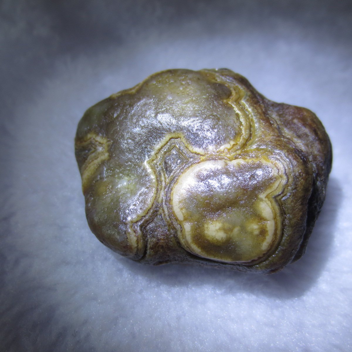 natural gobi eye stone，raw oracle eye agate，collectible crystal specimen (m112)