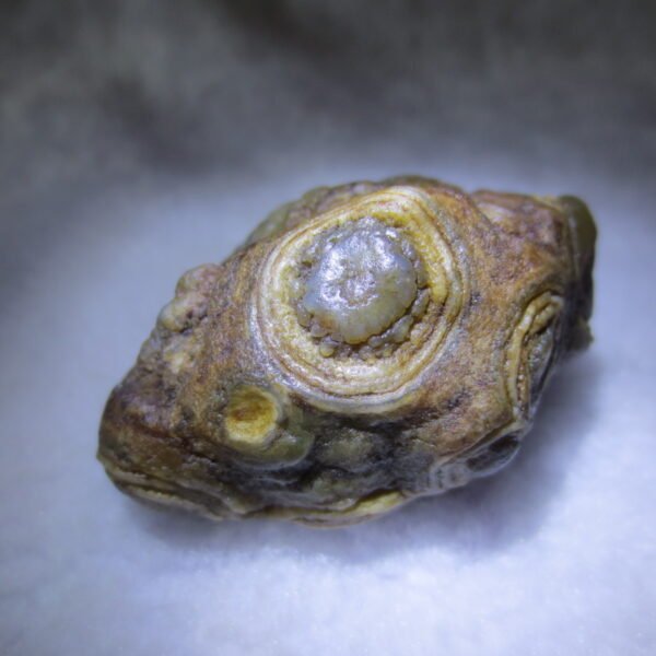 natural gobi eye stone，raw oracle eye agate，collectible crystal specimen (m112)