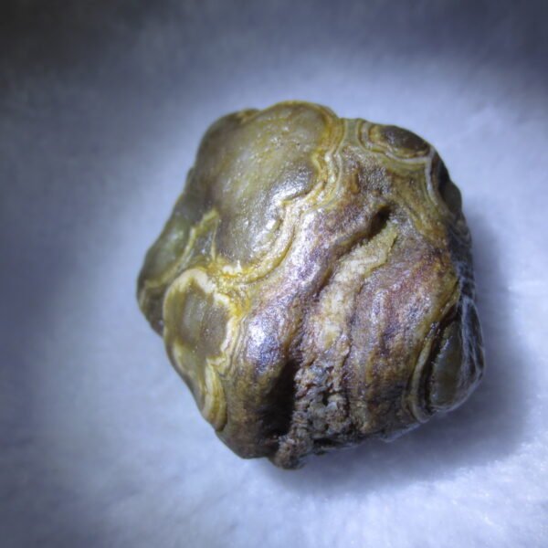 natural gobi eye stone，raw oracle eye agate，collectible crystal specimen (m112)