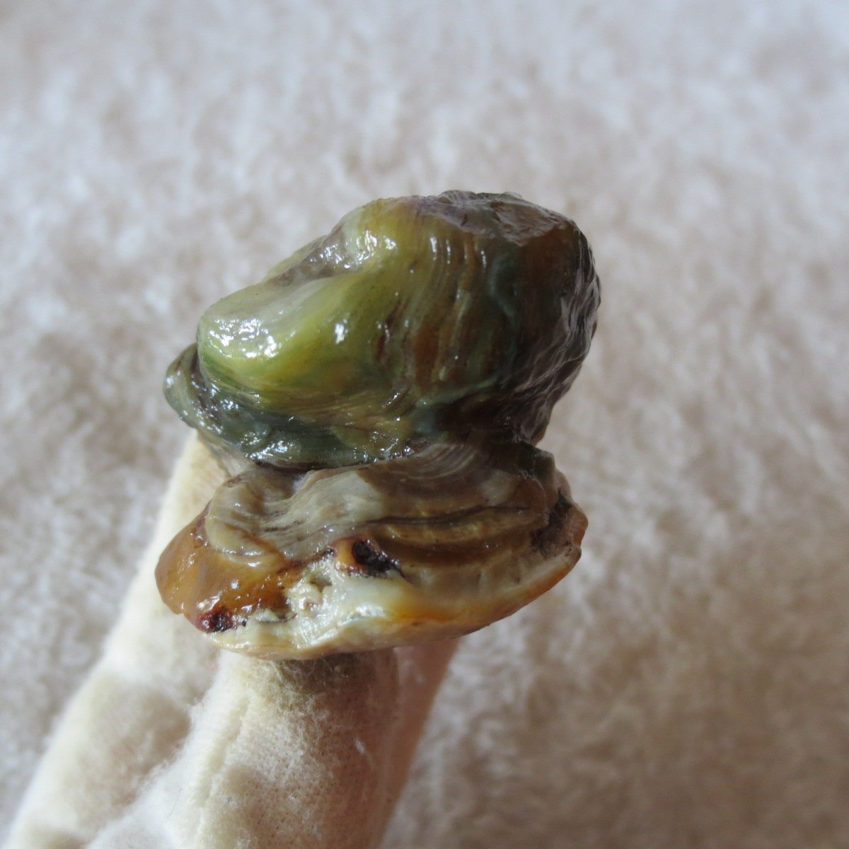 natural gobi eye stone，raw oracle eye agate，collectible crystal specimen (m101)