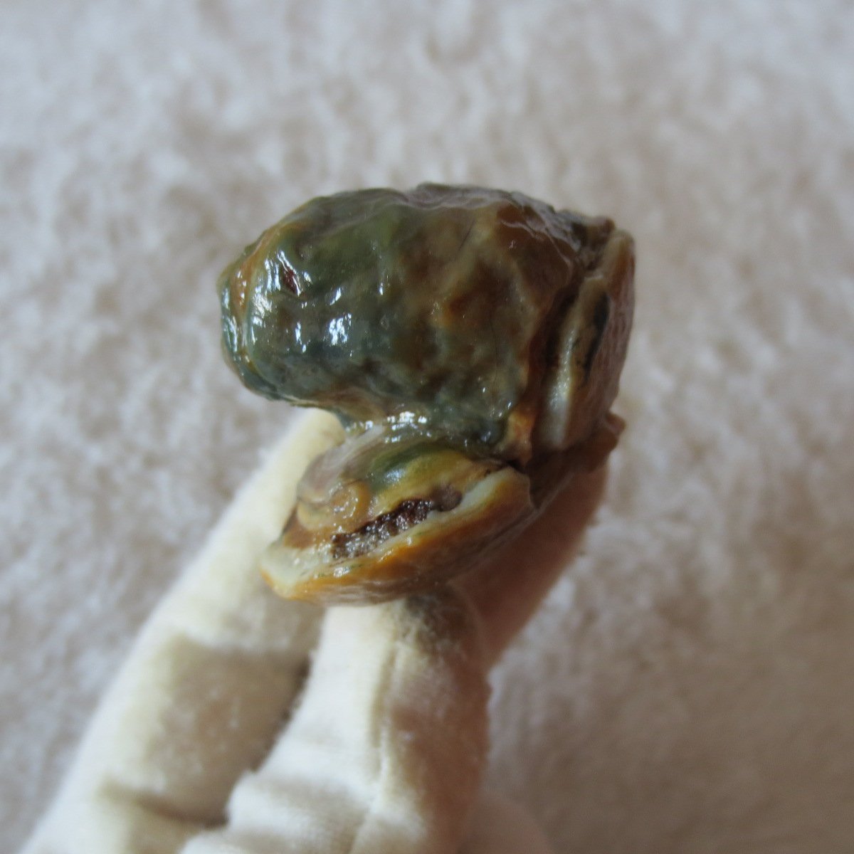 natural gobi eye stone，raw oracle eye agate，collectible crystal specimen (m101)