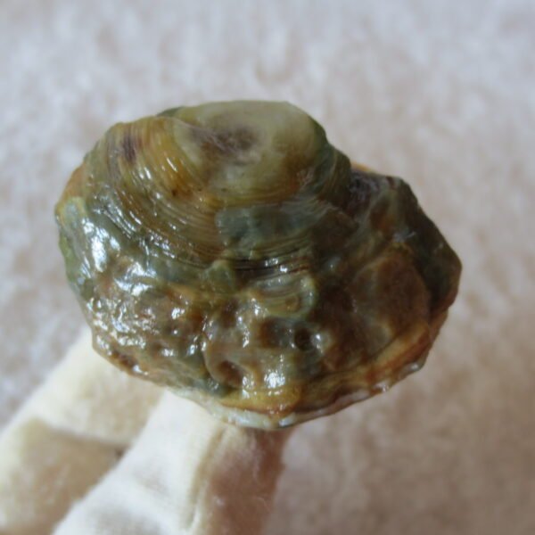 natural gobi eye stone，raw oracle eye agate，collectible crystal specimen (m101)