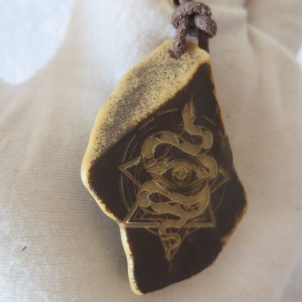 unique carved gobi mudstone pendant, one of a kind stone jewelry (d261)