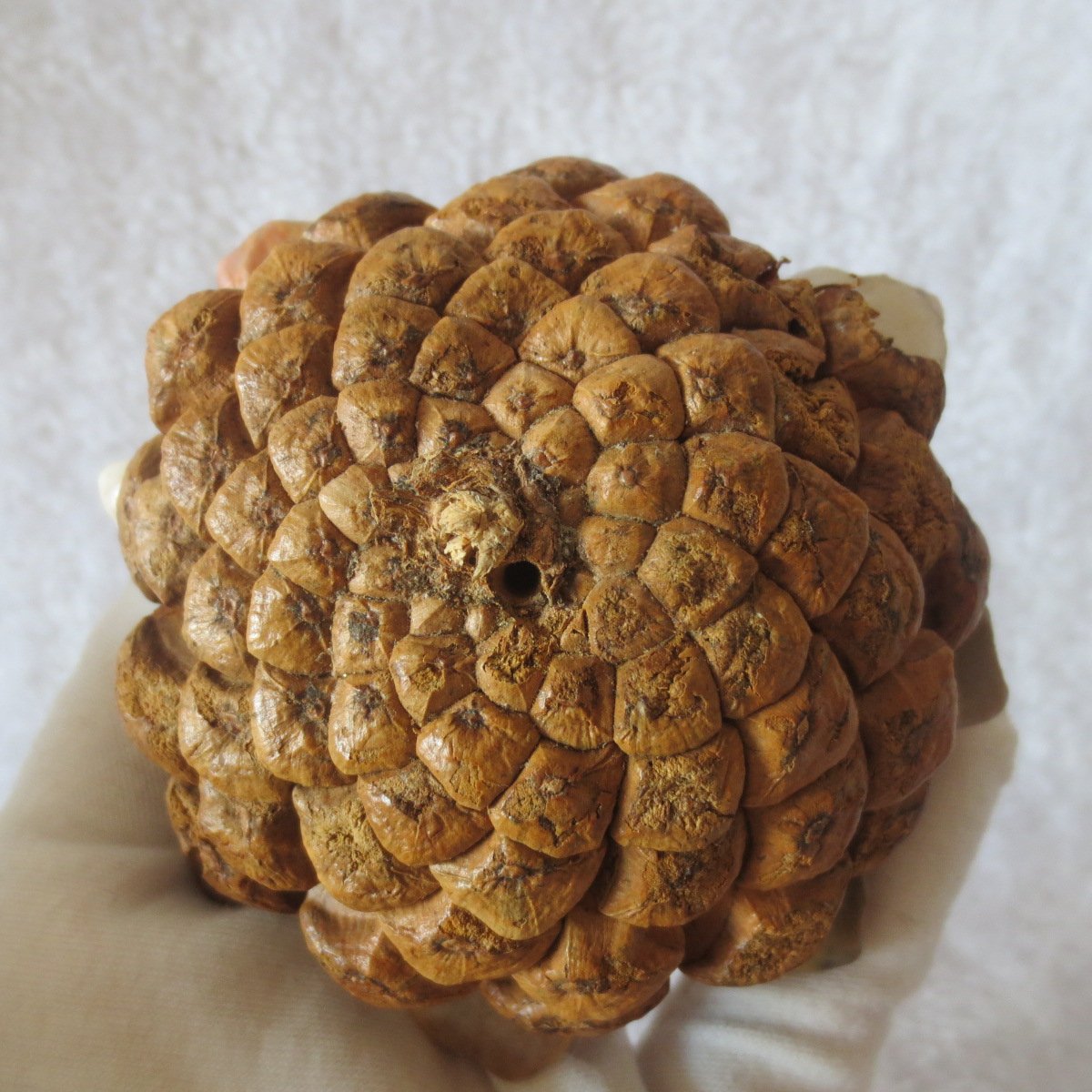 unique handmade gobi stone flower home decor, one‑of‑a‑kind (f01)