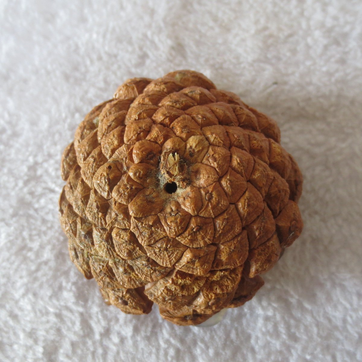 unique handmade gobi stone flower home decor, one‑of‑a‑kind (f02)