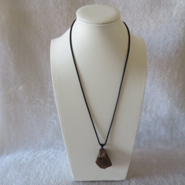 unique carved gobi mudstone pendant, one of a kind stone jewelry (o06)