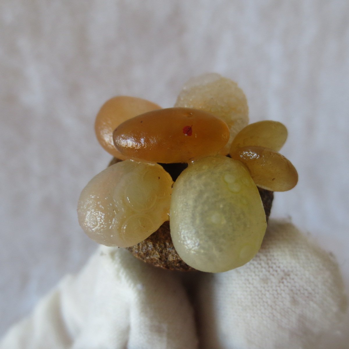 unique handmade gobi stone flower home decor, one‑of‑a‑kind (f07)