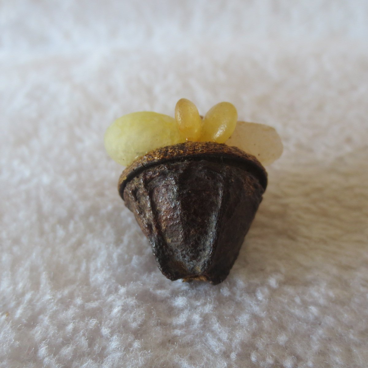 unique handmade gobi stone flower home decor, one‑of‑a‑kind (f07)