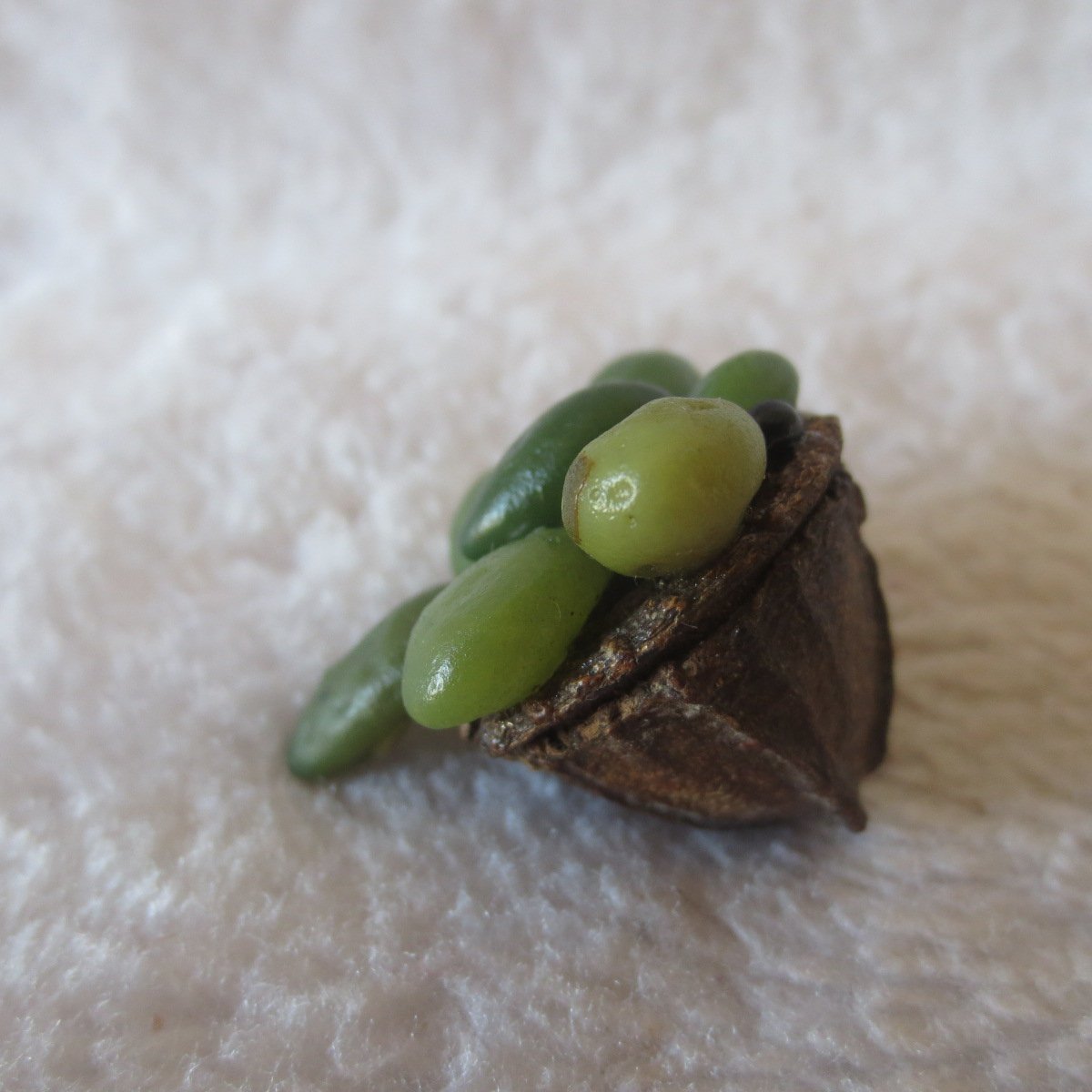 unique handmade gobi stone flower home decor, one‑of‑a‑kind (f09)